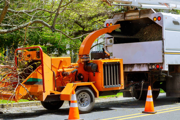 Professional Tree Removal in Delta Junction, AK