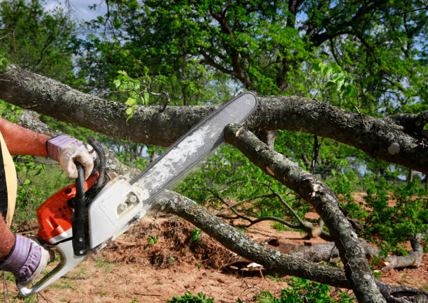 Best Commercial Tree Services  in Delta Junction, AK